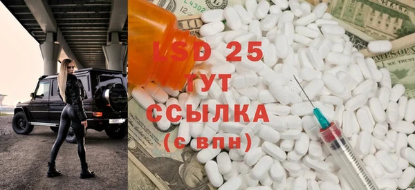 гашик Богданович