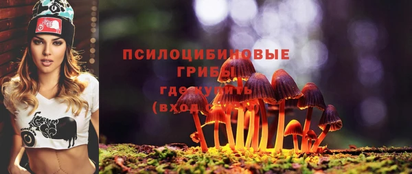 синтетический гашиш Беломорск
